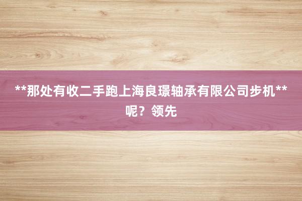 **那处有收二手跑上海良璟轴承有限公司步机**呢？领先