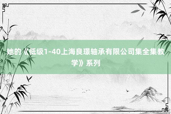 她的《低级1-40上海良璟轴承有限公司集全集教学》系列